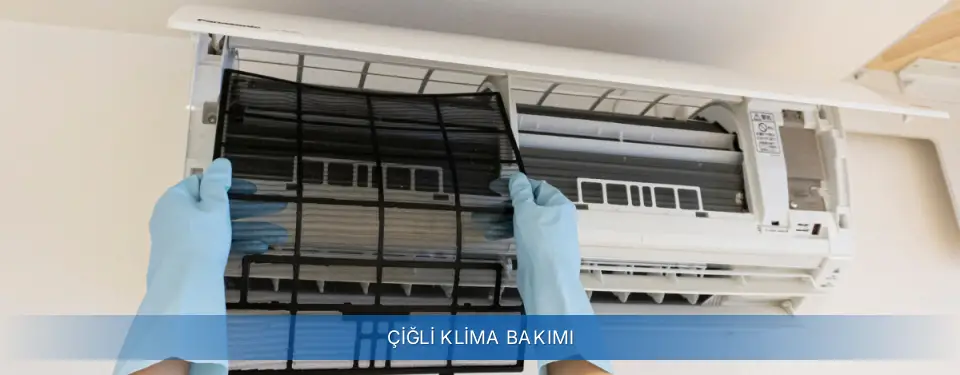 Çiğli İlçemi General Electric Klima Bakımı
